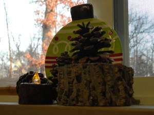 DSCN2016