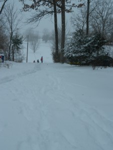 DSCN2953