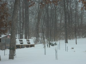 DSCN2956