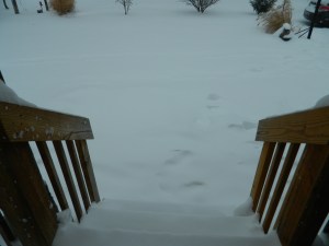 DSCN2957
