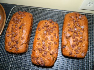 DSCN3006