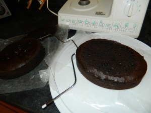DSCN3220