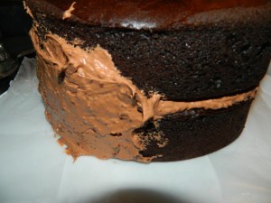 DSCN3235