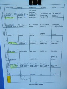 daily schedule