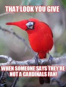 Not a Cardinals Fan