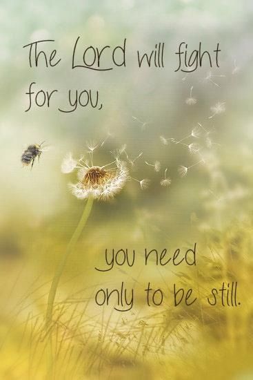 You Can Do&nbsp;It!