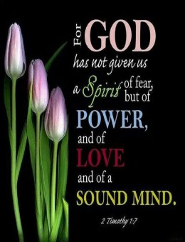 I Timothy 1 7